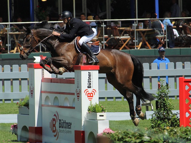 他精准判断 他精准判断