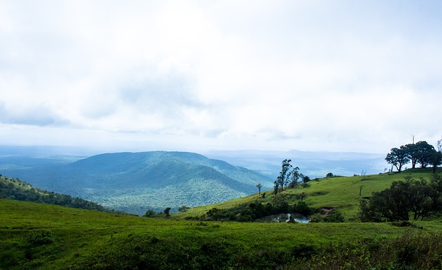 投篮能力 投篮能力