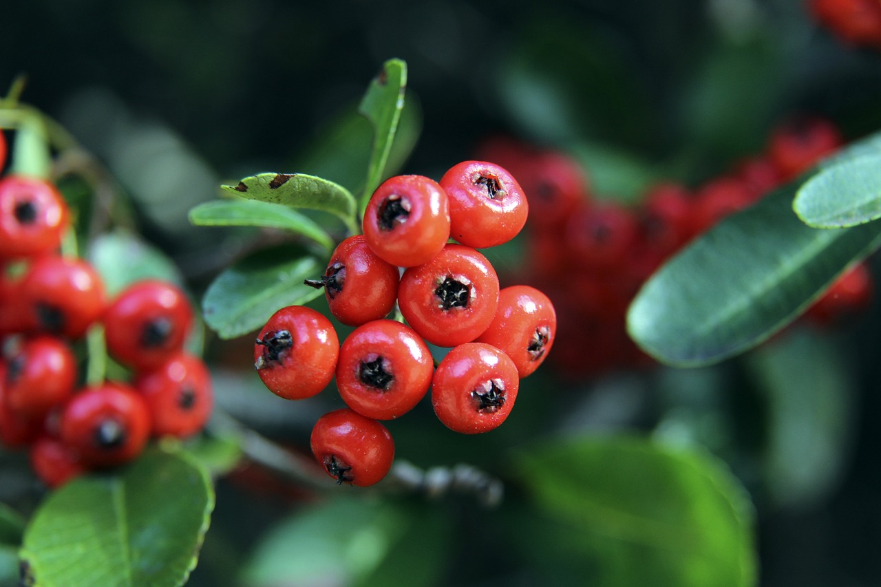 每位球员均 每位球员均