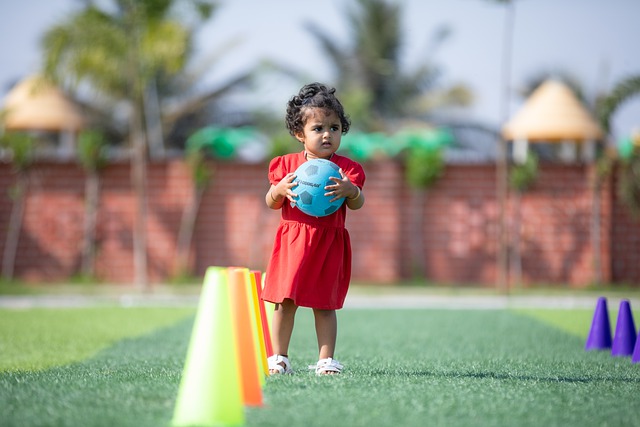 阵容变化 阵容变化