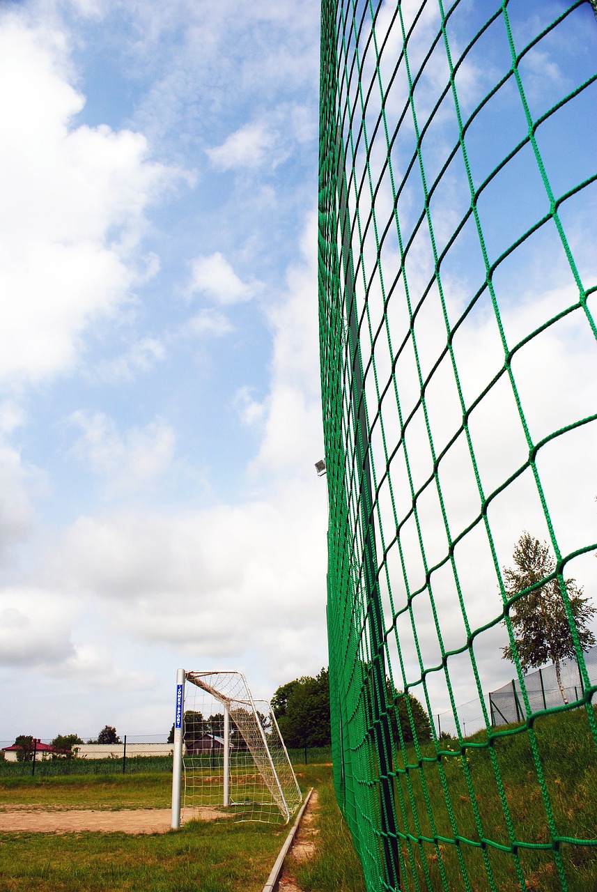 心的纪录 心的纪录